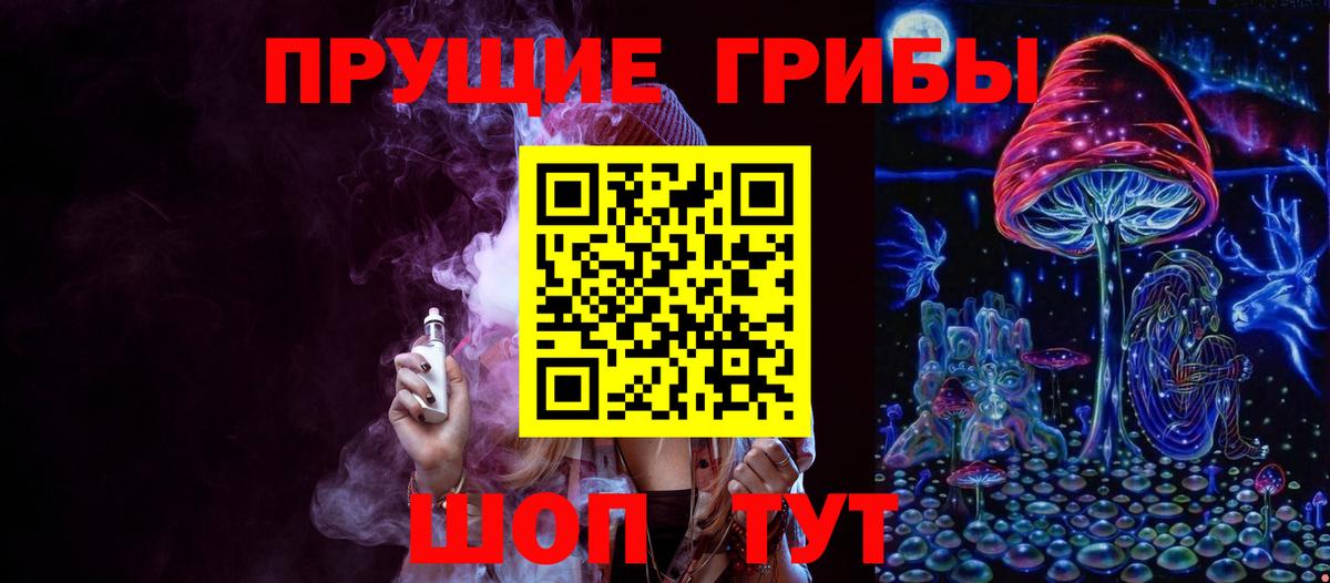 Псилоцибиновые грибы Psilocybe Магадан